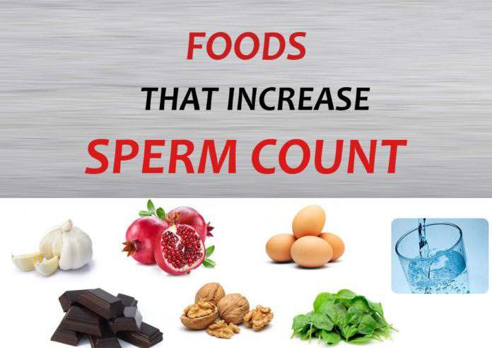 best food for sperm production